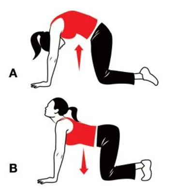 Lower Back Stretches